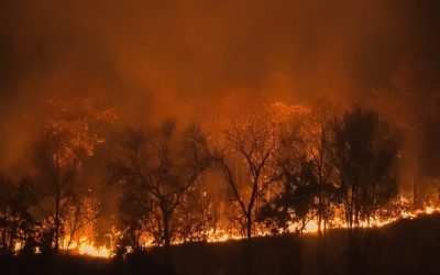 Ansiedade Climática: Impactos da Seca na Saúde Mental
